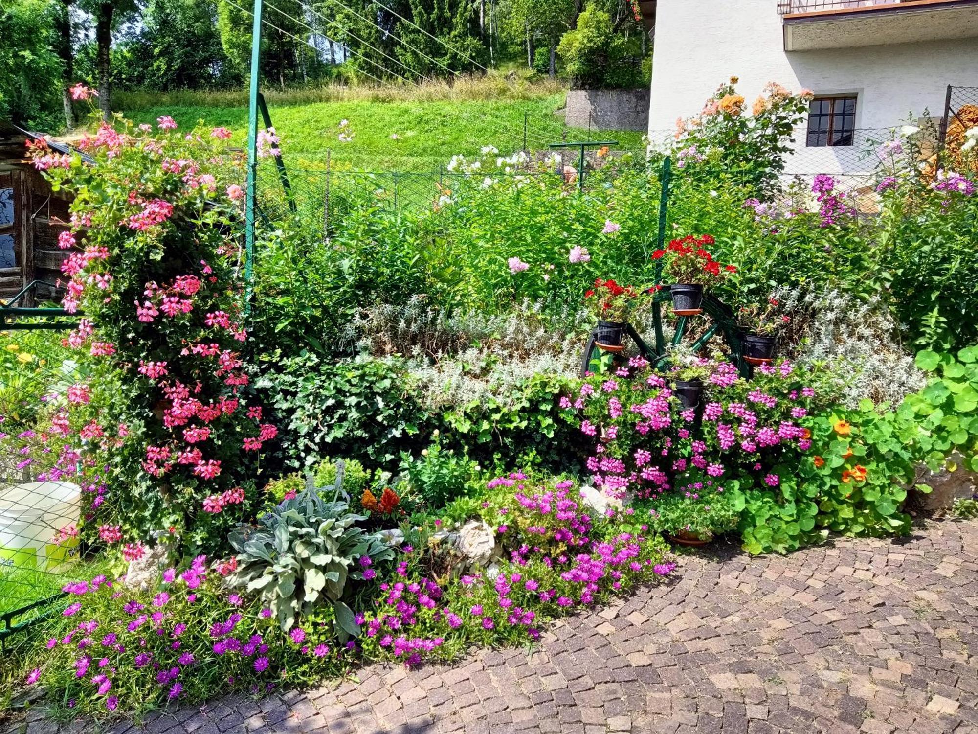 Bed and Breakfast La Cesura Карано Экстерьер фото